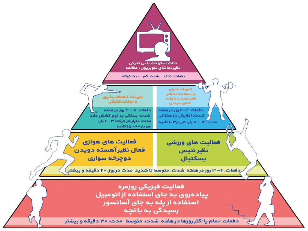 هرم فعالیت بدنی